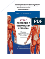 Атлас - анатомия и физиология человека. Полное практическое пособие Билич Г.Л., Зигалова Е.Ю.