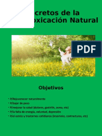 Secretos de La Desintoxicación Natural