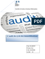audit sect.pdf
