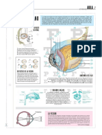 El Ojo PDF