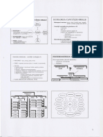 Micro7 PDF