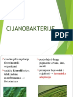 CIJANOBAKTERIJE