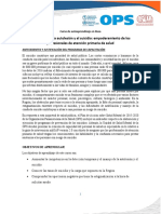 Programa de Curso PDF