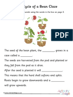 Bean Life Cycle Cloze-Merged PDF