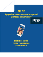 Selfie Report Demo Es