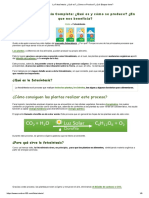 La Fotosíntesis - ¿Qué Es - ¿Cómo Se Produce - ¿Qué Etapas Tiene - PDF