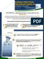 Reporte Estratégico Interpol Ok 1 PDF