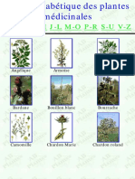 Guide-Des-Plantes-Medicinales-2.pdf