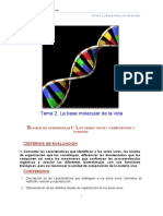 BG Tema 02B - Base Molecular PDF