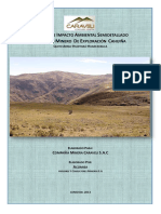 6. EIA-proyecto-exploracion-cahuina.pdf