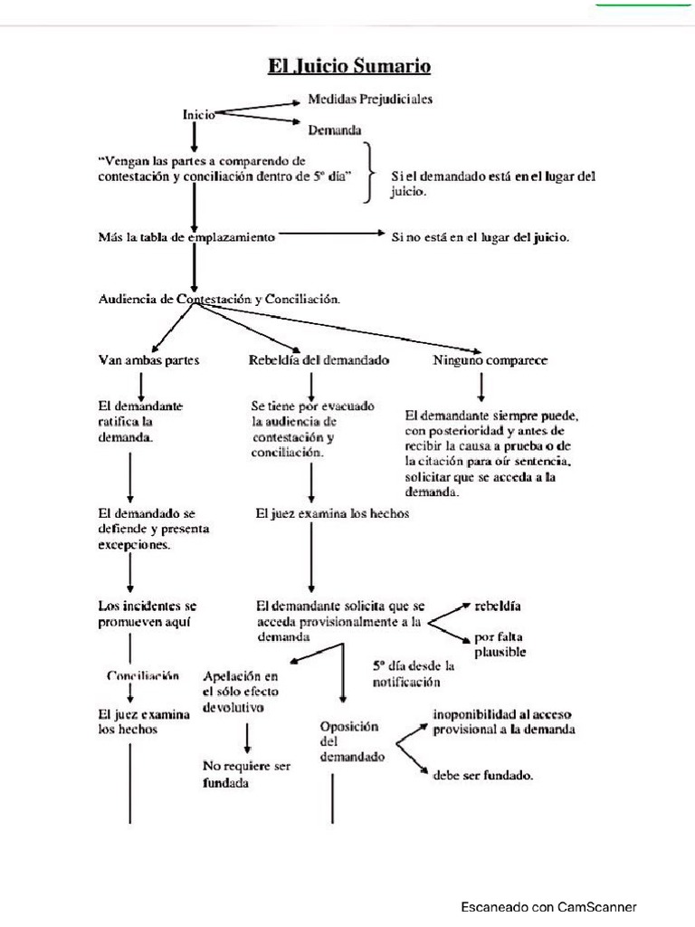 esquema-juicio-sumario-pdf-pdf