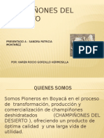 CHAMPIÑONES DEL DESIERTO S.pptx