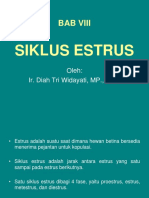 SIKLUS ESTRUS