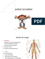 Aparatul Circulator