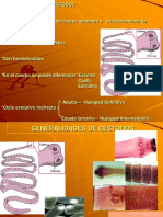 Cestodos Parasitos PDF