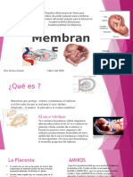 MEMBRANA FETAL-1Colmenares Guariman, Martinez Monasterio