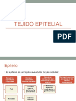 2 - Tejido Epitelial