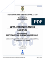 Diplomado en Dirrecion y Gestion de Organizaciones Publicas