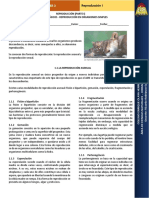 Reproduccin1 140627083616 Phpapp02 PDF