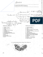 01.proulx, D. Iconografia Nasca PDF