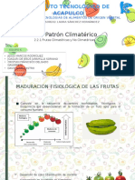 Patrón Climatérico Cie - Tec. de Alim Orig Vegetal