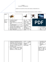 Actividad Picaduras y Mordeduras