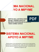 Sistema Nacional de Apoyo A Pyme