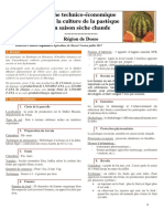 Fiche Technico Economique Pasteque Schaude Dosso Juillet2017