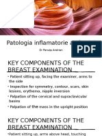 Patologia Inflamatorie A Sânului: DR Panuța Andrian