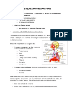 Sistema Respiratorio