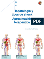 Shock-tipos-y-tratamiento-2013.pdf