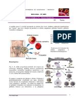ft-nc2ba-8-_-sistema-imunitario.pdf