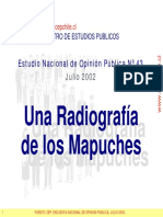 (2002) CEP - Estudio Nacional de Opinión Pública, Julio 2002. Incluye Tema Especial Radiografía de Los Mapuches