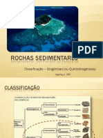 rochassedimentares-classificaobiognicas