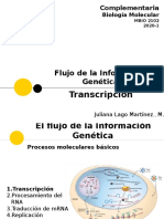 Flujo de La Información Genética-Transcripción