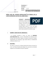 Demanda de Desnaturalizacion Del Contrato de Tercerización