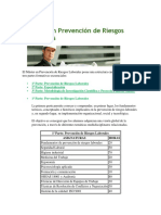 Máster en Prevención de Riesgos Laborales PDF