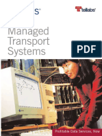 Managed Transport Systems: Tellabs 6300