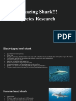 Amazing Shark Species Research 1