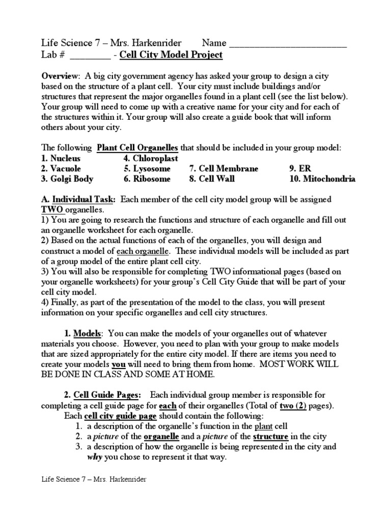Cell City Project | Organelle | Lysosome