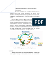 Sistem Reproduksi Tumbuhan Tingkat Renda-1