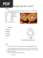 Download EKSTRAKSI KELAPA SAWIT by Doggygirl_2212 SN45765287 doc pdf