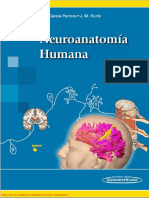 Neuroanatoma Humana de Porrero Esp (Librosmedicospdf - Net) PDF