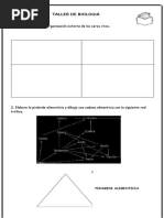 Cadenas y Redes Alimenticias
