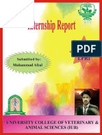 Internship Report Livestock Production Research Institute (LPRI) by Dr. Muhammad Afzal