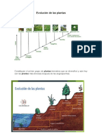 Evolución de Las Plantas