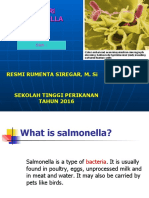 TEORI SALMONELLA