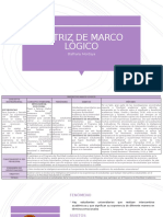 Matriz de Marco Lógico