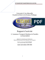 rapport d'activité Rafik Bousselmi.pdf