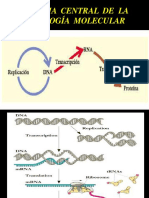 3-Estructura de Acidos Nucleicos